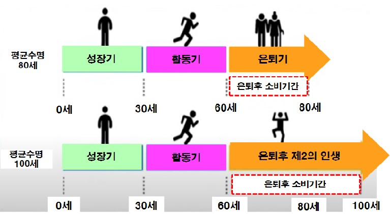 생애 주기별 주요 활동